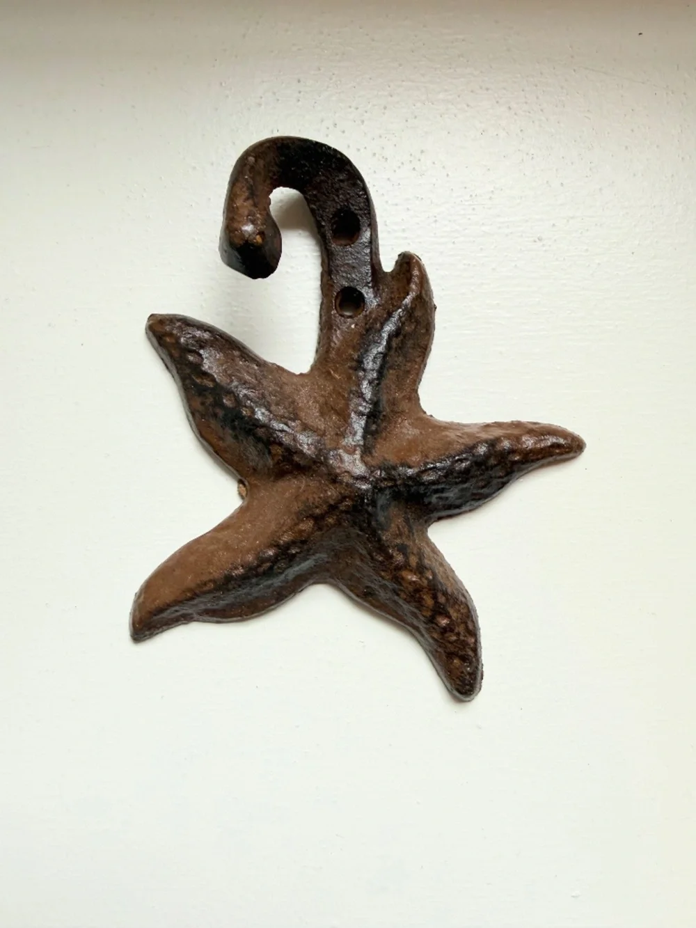 3 Cast Iron Wall Hooks - Breakwater Bay
